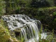 Cascada