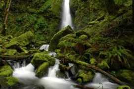 photos.orblogs.com Cascadia