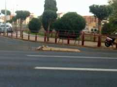 larioja.com Cascote