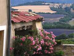web-provence.com Caseneuve