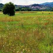 panoramio.com Casentino