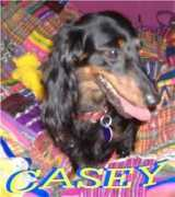 Caseyn