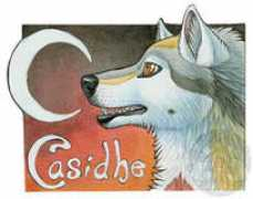 shadow-wolf.deviantart.com Casidhe