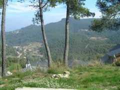amics21.com Casildo