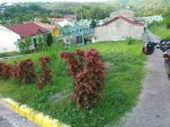 cebubesthomes.com Casili
