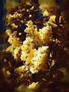 rosesandlilacs.com Casimer