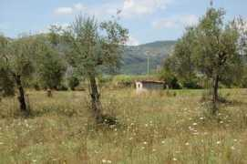 panoramio.com Casolare