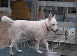 orig.jacksonsun.com Casper