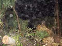 Cassadaga
