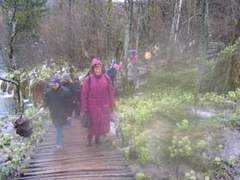 abc.brianzaest.it Cassione