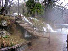 abc.brianzaest.it Cassione