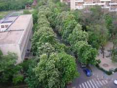 panoramio.com Castani
