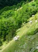 slowtrav.com Castel
