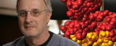 chemistry.nd.edu Castellino