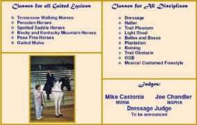 thecoloradocelebration.com Castonia