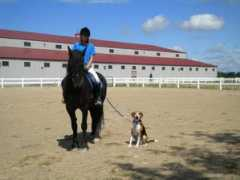 friesiansatprairieridge.net Castonia