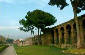 starswebworx.lc-stars.com Castrenza