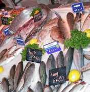 colindaylinks.com Castres