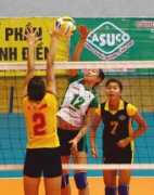 volleyball.vn Casuco