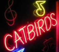 houstonpress.com Catbird
