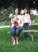 heartlandanimalshelter.net Catelyn