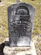 freepages.genealogy.rootsweb.ancestry.com Catherinee