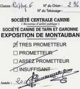 ofjackandco.free.fr Catherinet