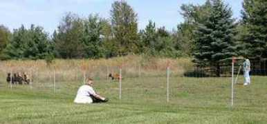 tagalongprairie.com Cathis
