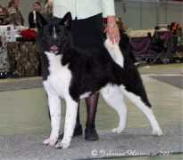 finigan.pl Catinga