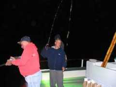 acidrod.com Catlaina