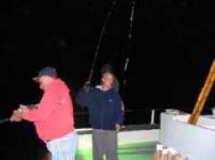 acidrod.com Catlaina