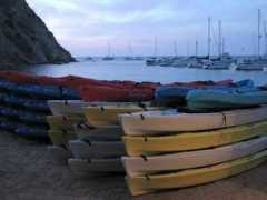 jimscofield.com Catlaina