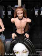 rapture.sephdraven.com Catmen