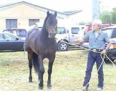 eng.agraria.org Catria