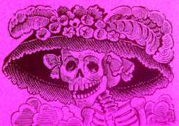 ameliasmagazine.com Catrina