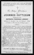 Catteeuw