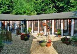 Cattery