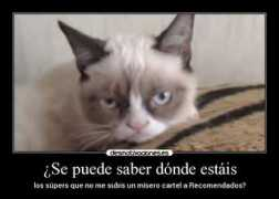 Catti
