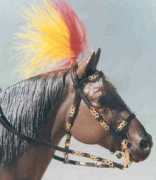 unicornwoman.com Cavalero
