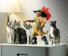 thedesigninspiration.com Cavalier