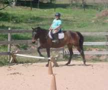 glhtrainingonline.com Cavalletti