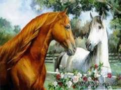 Cavalos