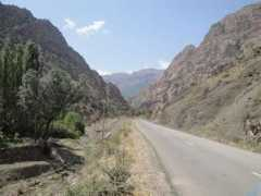 Cavard