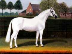 Cavelier