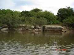 Cavera