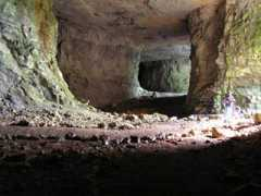 Cavesa