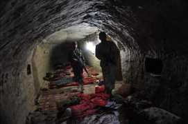 Cavex