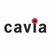 playright.dk Cavia