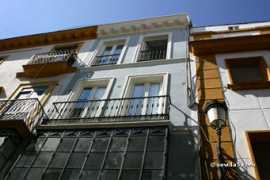 sevilla5.com Cavia