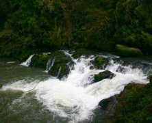 oregonwaterfalls.net Cavitt